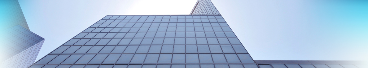 Commercial Litigation Law Firm in Tampa
